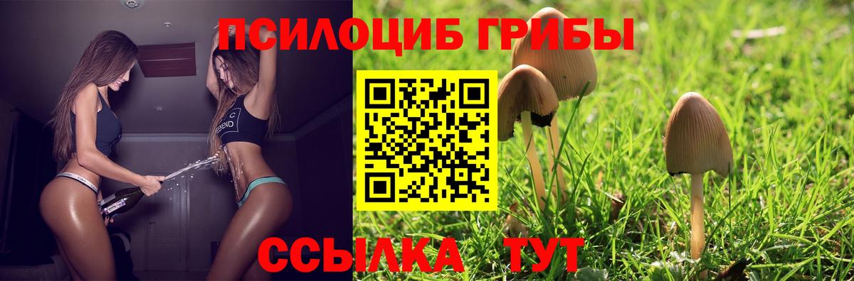 Галлюциногенные грибы Карпинск